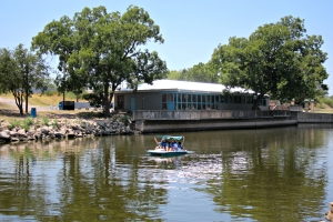 paddleboats on the concho